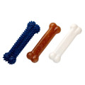 Nylabone Puppy Starter Kit