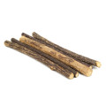 Friandises Dentaires pour Chats en batonnets 10g - KING CATNIP