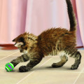 Balle Pour Chats Cat Active Tennis Balls avec clochette - KONG