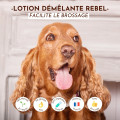 Lotion Démêlante Rebel - DEXTER & MANGO