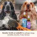 Lotion Démêlante Rebel - DEXTER & MANGO