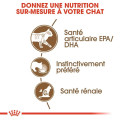 Bouchées en Sauce Pour Chats Ageing 12+ 12X85g - ROYAL CANIN