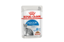 Bouchées en Sauce Pour Chats Indoor 12X85g - ROYAL CANIN
