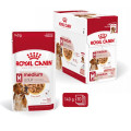 XSmall Adult 12x85g - ROYAL CANIN