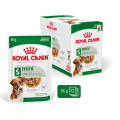 XSmall Adult 12x85g - ROYAL CANIN