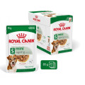 XSmall Adult 12x85g - ROYAL CANIN