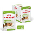 XSmall Adult 12x85g - ROYAL CANIN