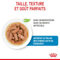 XSmall Adult 12x85g - ROYAL CANIN