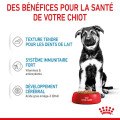 XSmall Adult 12x85g - ROYAL CANIN