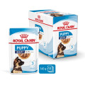 XSmall Adult 12x85g - ROYAL CANIN