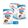 XSmall Adult 12x85g - ROYAL CANIN