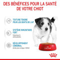 XSmall Adult 12x85g - ROYAL CANIN