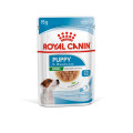 XSmall Adult 12x85g - ROYAL CANIN