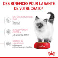 copy of copy of copy of PUPPY MINI - ROYAL CANIN