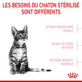 Croquettes Pour Chatons Kitten Sterilised - ROYAL CANIN