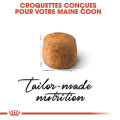 Croquettes Pour Chats Adulte Maine Coon 4Kg - ROYAL CANIN