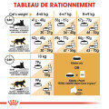 Croquettes Pour Chats Adulte Maine Coon 4Kg - ROYAL CANIN