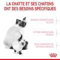 MOTHER & BABYCAT - ROYAL CANIN