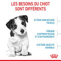 PUPPY MINI - ROYAL CANIN