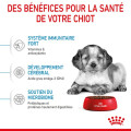 copy of copy of copy of copy of PUPPY MINI - ROYAL CANIN