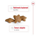 copy of PUPPY MINI - ROYAL CANIN