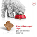 copy of copy of PUPPY MINI - ROYAL CANIN