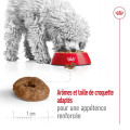 Croquettes Pour Chiens Mini Ageing 12+ 1,5Kg - ROYAL CANIN