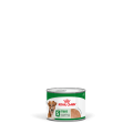 Pâtée Chien Mini Ageing 195g - ROYAL CANIN