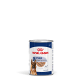 copy of copy of Pâtée Chien Mini Ageing 195g - ROYAL CANIN