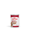 copy of Pâtée Chien Mini Ageing 195g - ROYAL CANIN