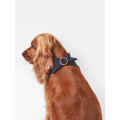 Bandana Gaufré Pour Chien - QISU
