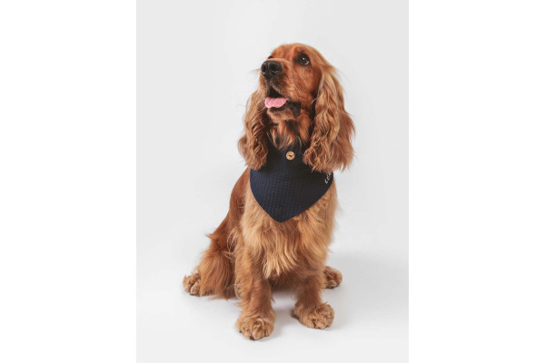 Bandana Gaufré Pour Chien - QISU