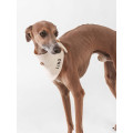 Bandana Gaufré Pour Chien - QISU