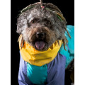 Imperméable Pour Chien QISU