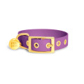 Collier À Œillets Pour Chien POP DOG
