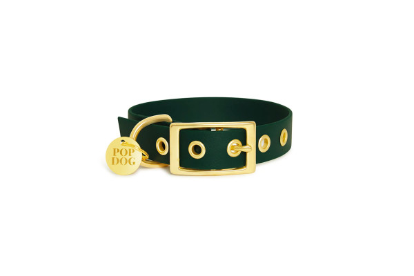 Collier À Œillets Pour Chien POP DOG