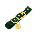 Collier À Œillets Pour Chien POP DOG