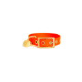 Collier À Œillets Pour Chien POP DOG