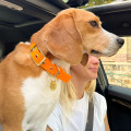 Collier À Œillets Pour Chien POP DOG