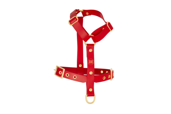 Harnais À Œillets Pour Chien POP DOG