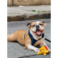 Peluche American Classic Frites - PET P.L.A.Y