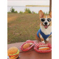 Peluche American Classic Hot Dog - PET P.L.A.Y