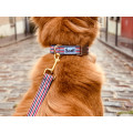 Collier pour Chiens et Chats - FRENCH BANDIT