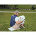 Imperméable Pour Chien Bandit X Flotte