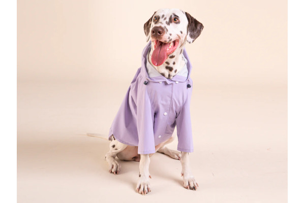 Imperméable Pour Chien Bandit X Flotte