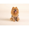 Imperméable Pour Chien Bandit X Flotte