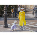 Imperméable Pour Chien Bandit X Flotte