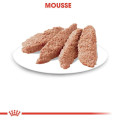 Bouchées en Mousse Pour Chats Instinctive 12X85g - ROYAL CANIN