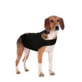 ZENDOG Gilet Apaisant