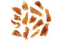 copy of Poulet gloria